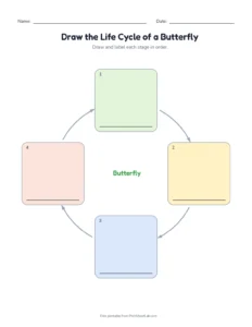 Draw the Butterfly Life Cycle printable worksheet for grades 1 to 3