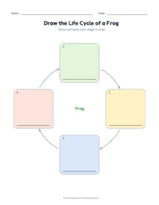 Draw the Frog Life Cycle printable worksheet for grades 1 to 3
