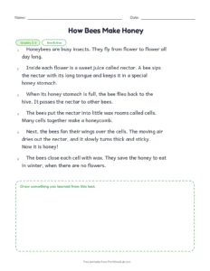 How Bees Make Honey printable worksheet for grades 1 and 2