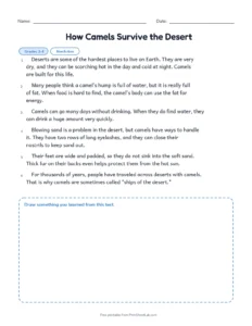How Camels Survive the Desert printable worksheet for grades 3 and 4