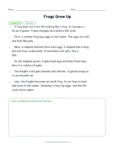 Frogs Grow Up printable worksheet for grades 1 and 2