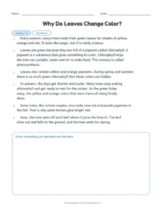 Why Do Leaves Change Color? printable worksheet for grades 3 and 4