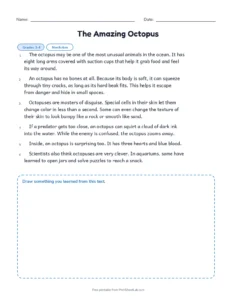 The Amazing Octopus printable worksheet for grades 3 and 4