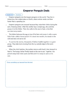 Emperor Penguin Dads printable worksheet for grades 3 and 4