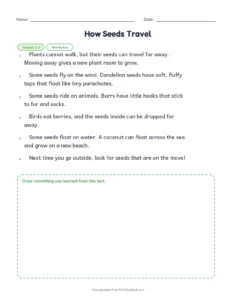 How Seeds Travel printable worksheet for grades 1 and 2