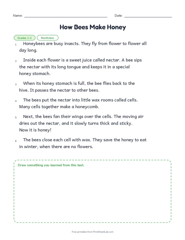 Reading comprehension passages for grades 1 and 2 with multiple choice questions and answer key