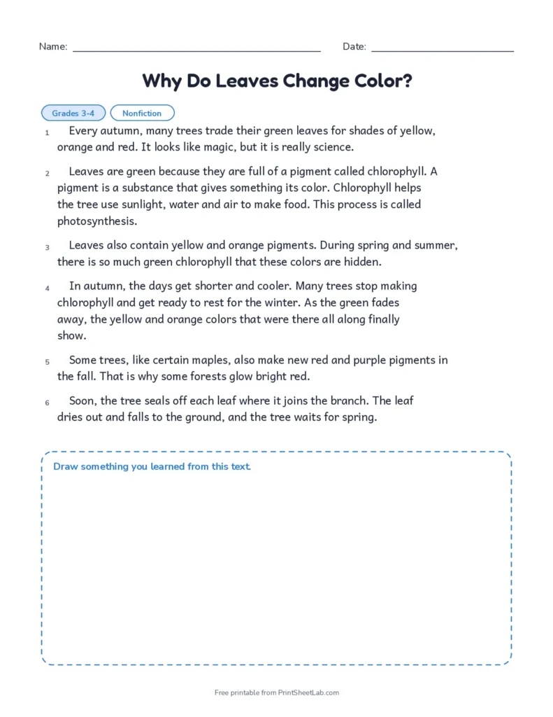 Reading comprehension worksheets: four reading passages with questions for grades 3 and 4, with answer key
