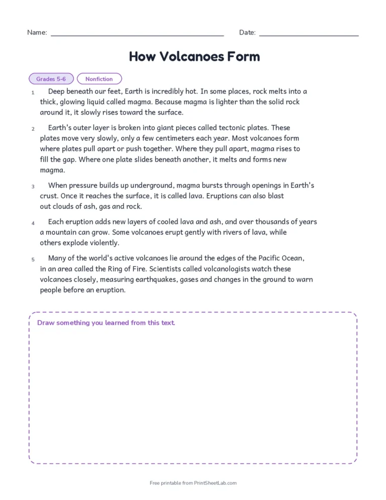 Four reading passages for grades 5 and 6 with questions and answer key