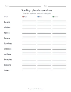 Spelling Packet: plurals -s and -es printable worksheet for grade 3