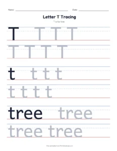 Letter T Tracing Page printable worksheet for preschool and kindergarten
