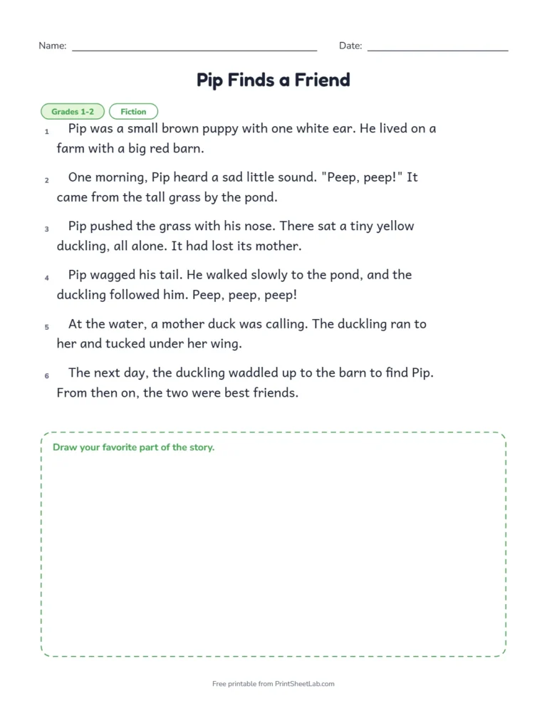 1st and 2nd grade reading comprehension worksheets: the passage Pip Finds a Friend with numbered paragraphs