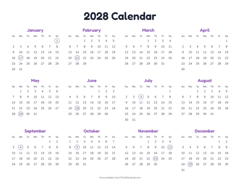 Printable 2028 calendar on one page with all 12 months and US federal holidays circled