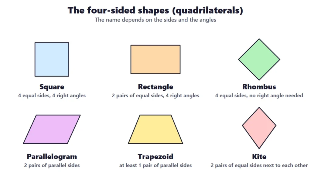 2D shapes: quadrilaterals including square, rectangle, rhombus, parallelogram, trapezoid and kite