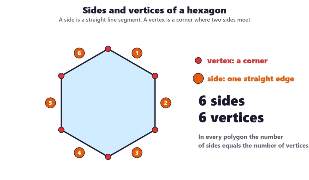 2D shapes: sides and vertices of a hexagon, with 6 numbered sides and 6 vertices marked