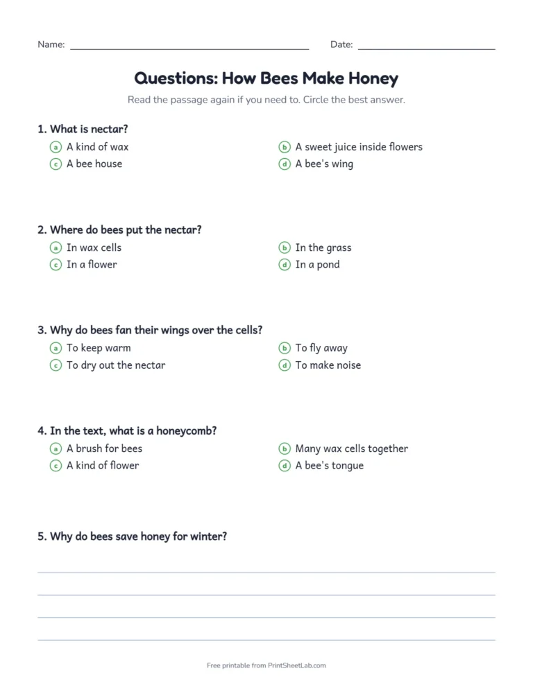 2nd grade reading comprehension questions for the passage How Bees Make Honey