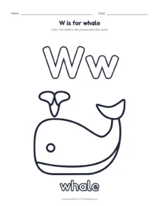 Letter W coloring page: W is for whale printable worksheet for preschool and kindergarten