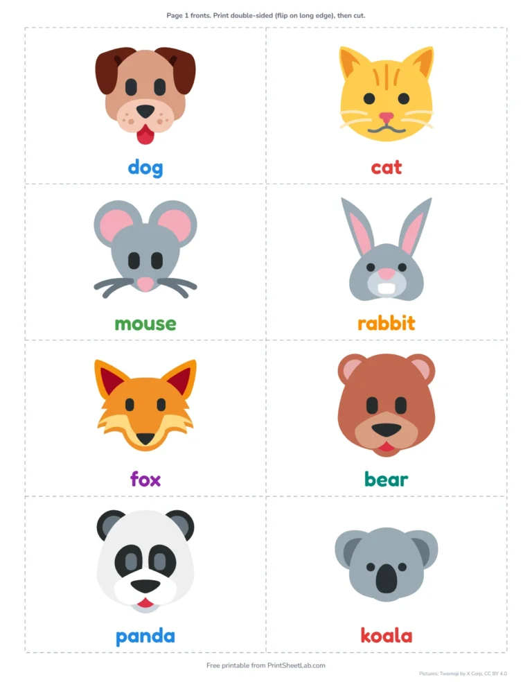 Animal flash cards with pictures for toddlers