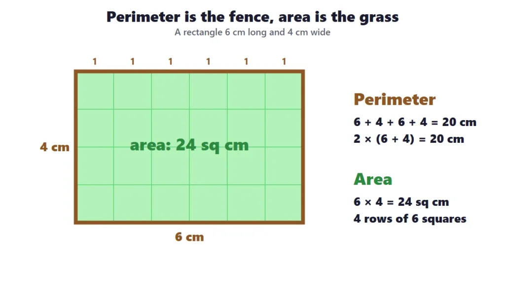 Area and perimeter: a 6 cm by 4 cm rectangle with the area shaded and the perimeter as a fence