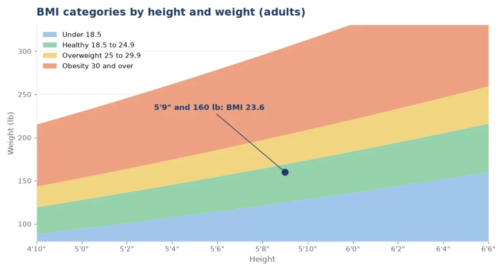 BMI chart from the BMI calculator showing weight bands for each height