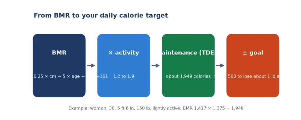 Calorie calculator formula diagram from BMR to maintenance calories and a goal