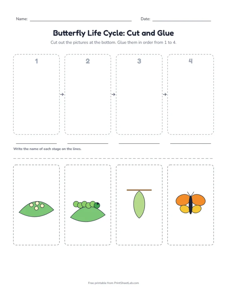Butterfly life cycle printable: cut and glue the four stages in order