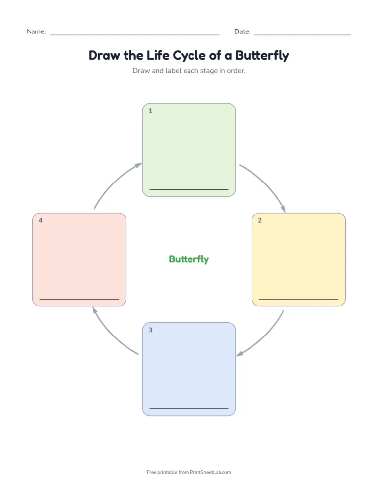 Butterfly life cycle for kids: draw and label each stage