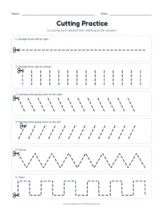 Cutting practice: all 12 line patterns printable worksheet for ages 3 to 6