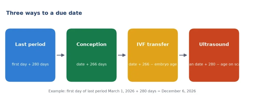 Due date calculator methods: last period plus 280 days, conception plus 266 days, IVF and ultrasound