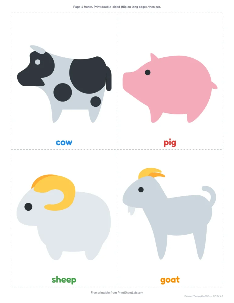 Jumbo farm animal flash cards with pictures