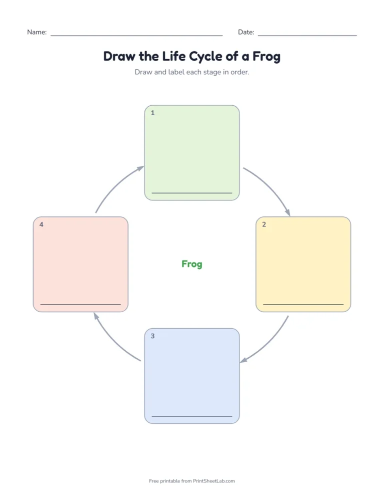 Frog life cycle for kids: draw and label each stage