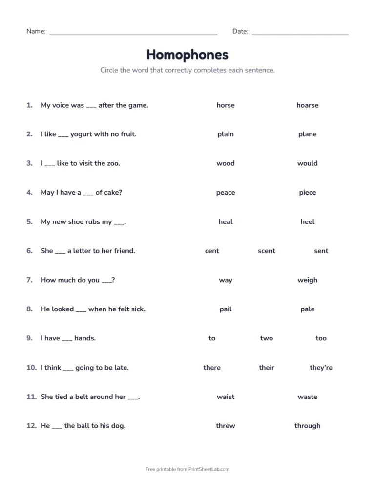 Homophones worksheet for grades 3 and 4 with their, there and they're and to, two and too