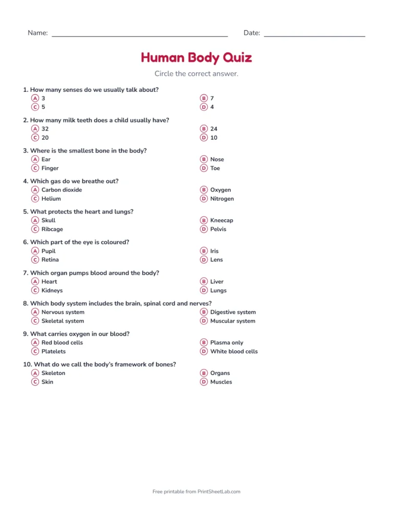 Human body quiz: printable multiple-choice quiz sheet with 12 questions