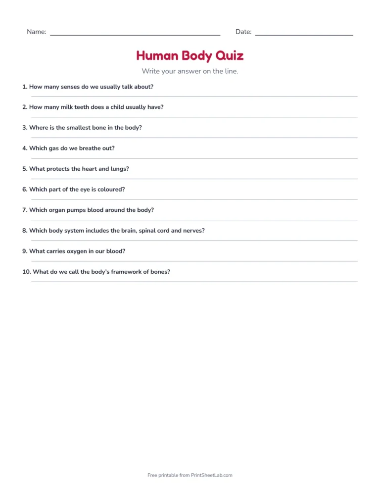 Human body quiz write-in sheet with lines for the answers