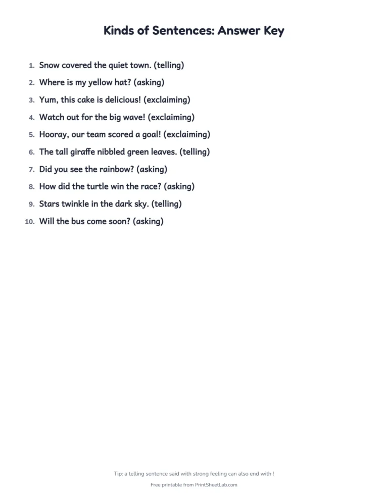 Kinds of sentences worksheet answer key with every end mark