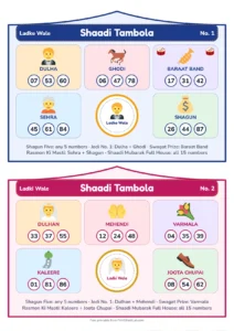 Ladke Wale Vs Ladki Wale Tambola picture tambola tickets with themed prize sections