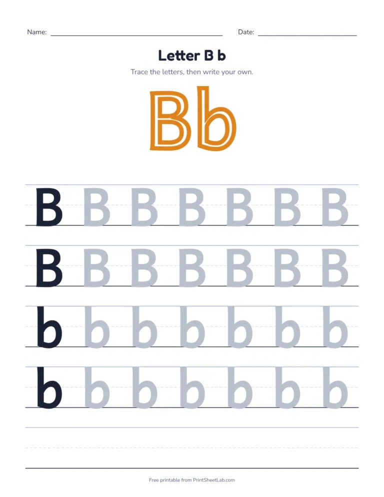 Letter B tracing worksheet with uppercase B and lowercase b rows