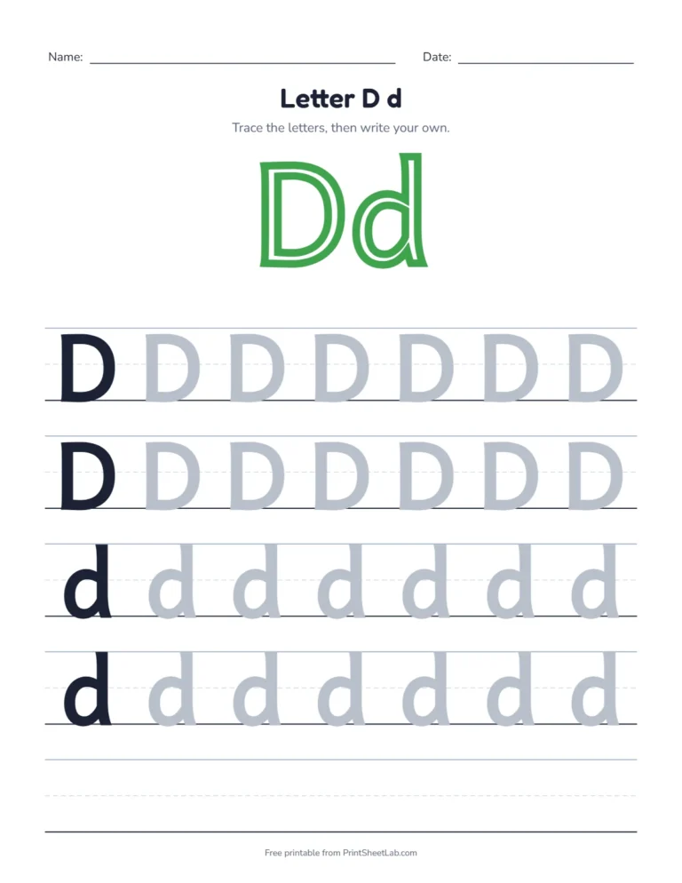 Letter D tracing worksheet with uppercase D and lowercase d rows
