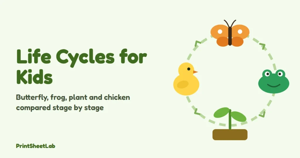 Life cycles for kids cover with a butterfly, a frog, a bean seedling and a chick