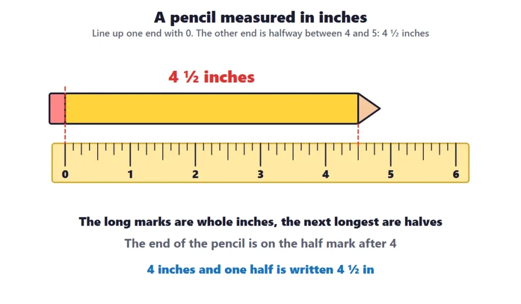 Measuring length: a pencil lined up with 0 on an inch ruler and ending at 4 and a half inches