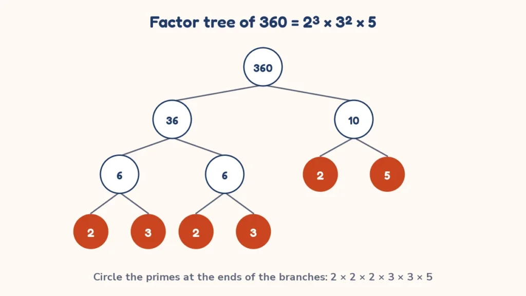 Prime factorization calculator diagram: factor tree of 360 = 2³ × 3² × 5