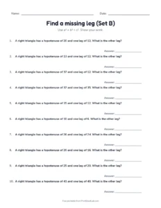 Find a missing leg (Set B) printable worksheet for grade 8