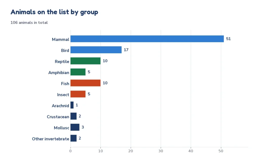 Bar chart of the number of animals in each group on the random animal list: mammals, birds, reptiles, fish, amphibians, insects and others