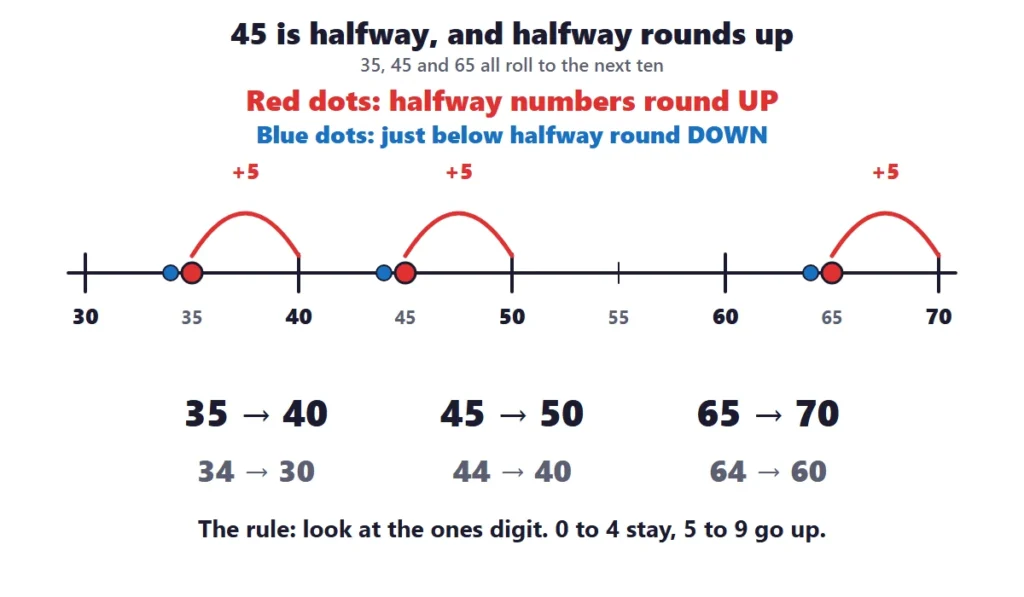 Rounding to the nearest 10: the halfway numbers 35, 45 and 65 round up and the numbers just below round down