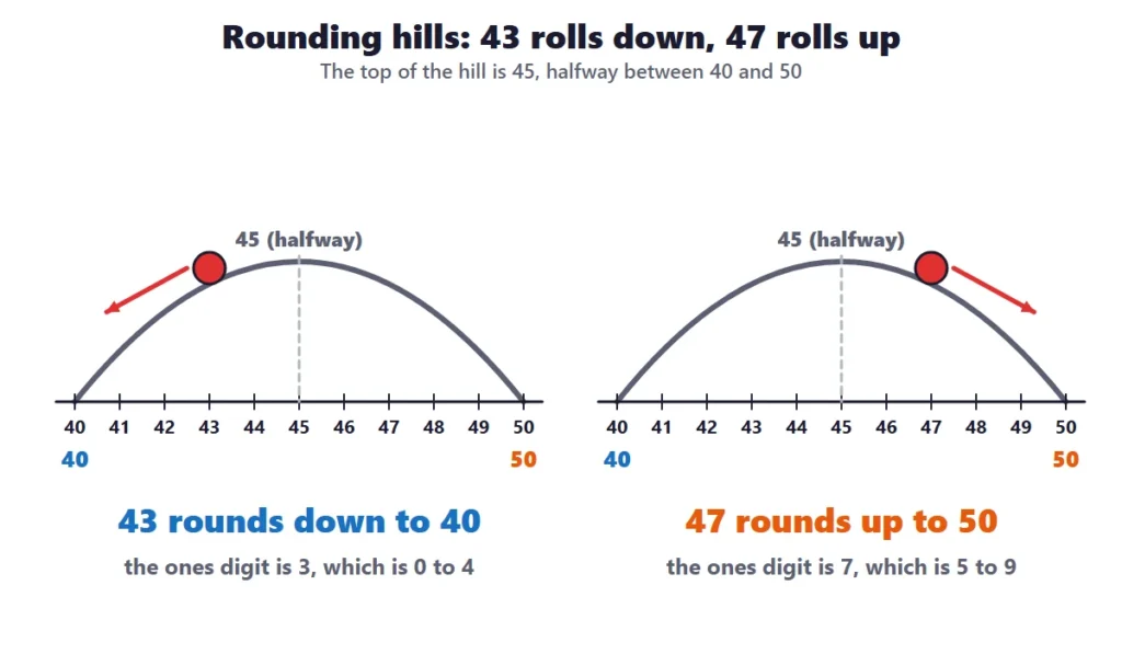 Rounding to the nearest 10: two rounding hills showing 43 rounding down to 40 and 47 rounding up to 50