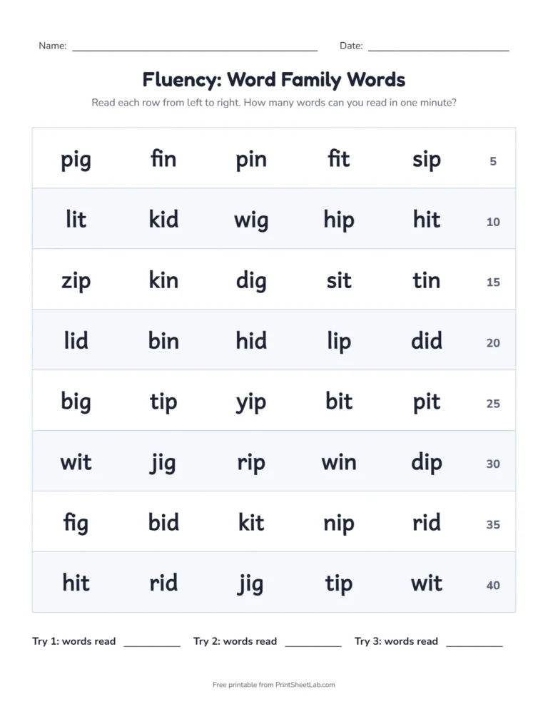 Word family fluency grid with 40 words and a running count for the short i families