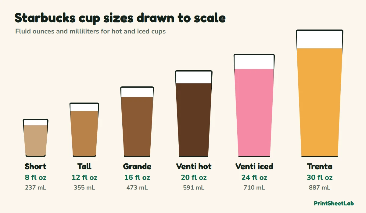 Starbucks cup sizes chart showing Short 8, Tall 12, Grande 16, Venti 20 hot and 24 iced, and Trenta 30 fluid ounces drawn to scale