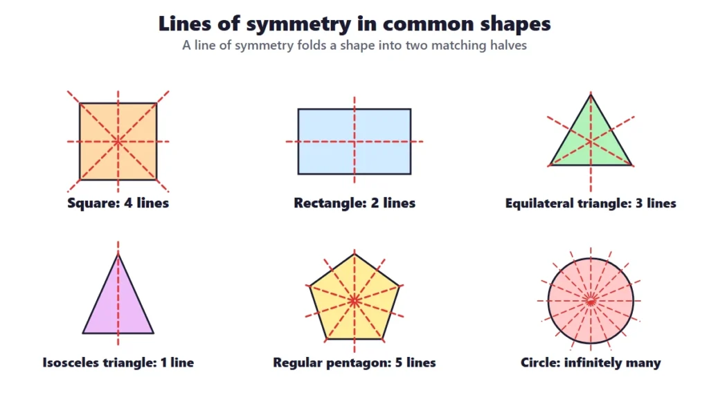 Symmetry: lines of symmetry in a square, rectangle, triangles, a regular pentagon and a circle