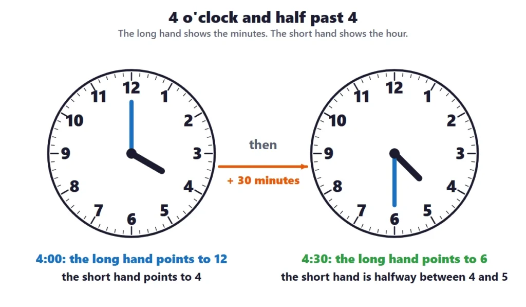 Telling time to the hour and half hour: two clocks showing 4 o'clock and half past 4