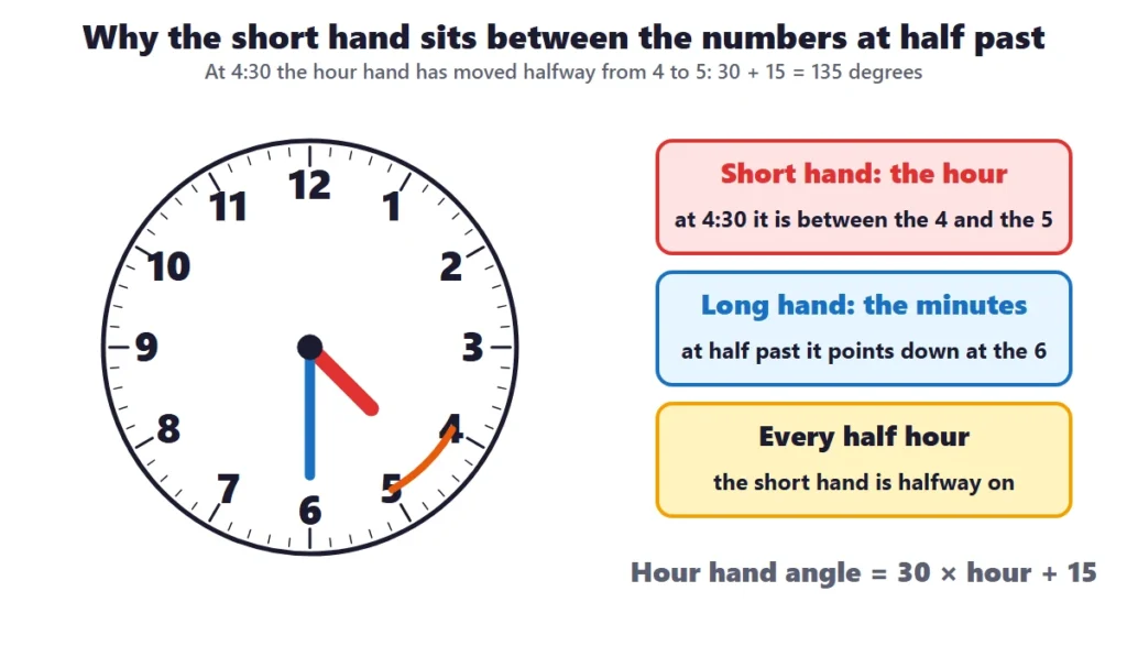 Telling time to the hour and half hour: a clock at 4:30 showing the hour hand halfway between the 4 and the 5