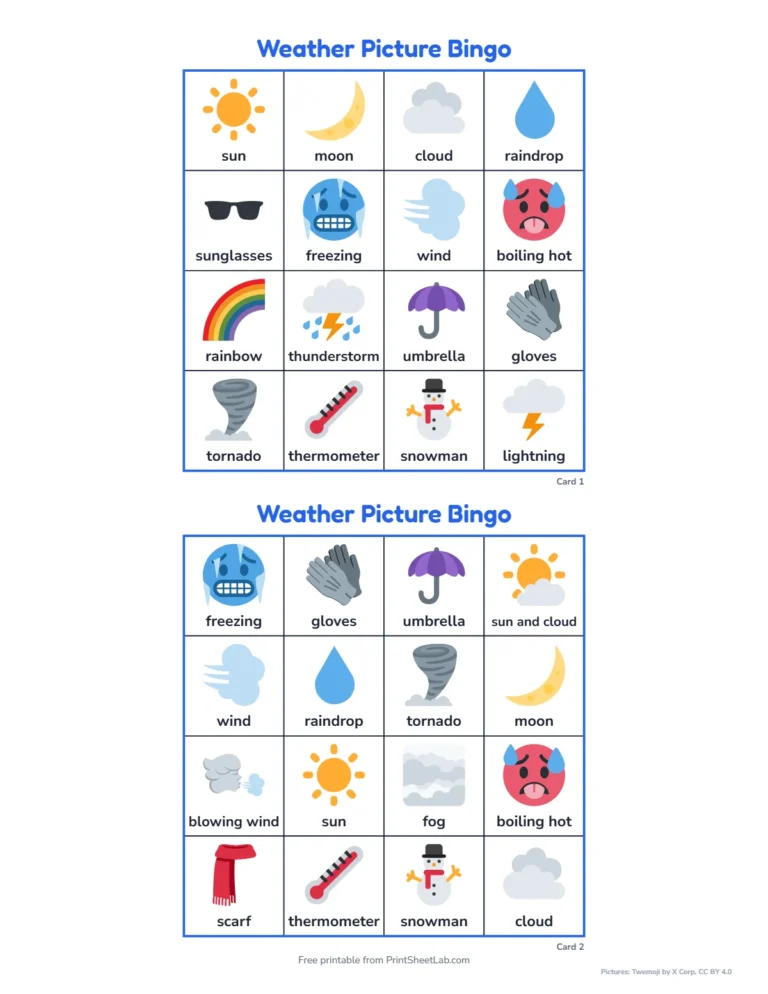 Weather bingo printable: 4 by 4 picture cards with a word under each picture
